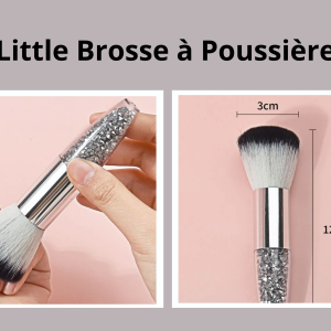 LITTLE BROSSE A POUSSIERE