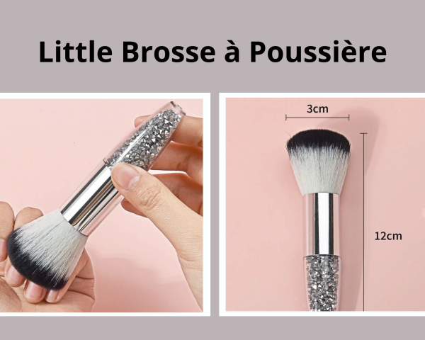 LITTLE BROSSE A POUSSIERE
