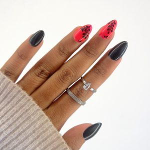 COFFRET BLACK KISS FOLIAGE ROND XS